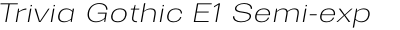Trivia Gothic E1 Semi-exp Thin Italic
